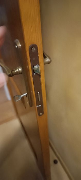 МАСИВ - интериорна врата с каса