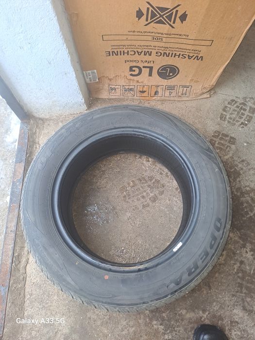 Японский болондар мягкии