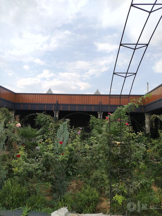 Toshkent buylab Tunkafon travertn xizmati sifatli va arzon 1-qul