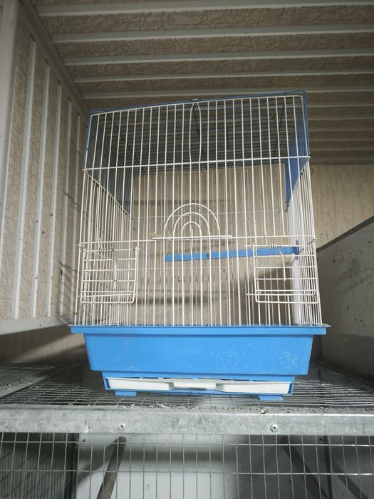 Клетки и вальеры для канареек