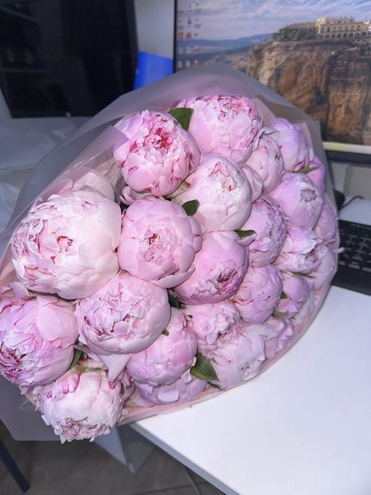 цветы пионы 25шт
