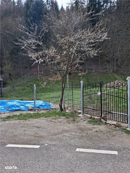 Teren intravilan Izvoru Muntelui, 500 mp