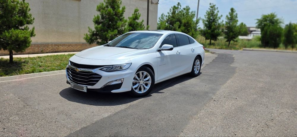 Malibu Malibu 2 turbo ozimizniki, Малибу Малибу 2 турбо узимизники