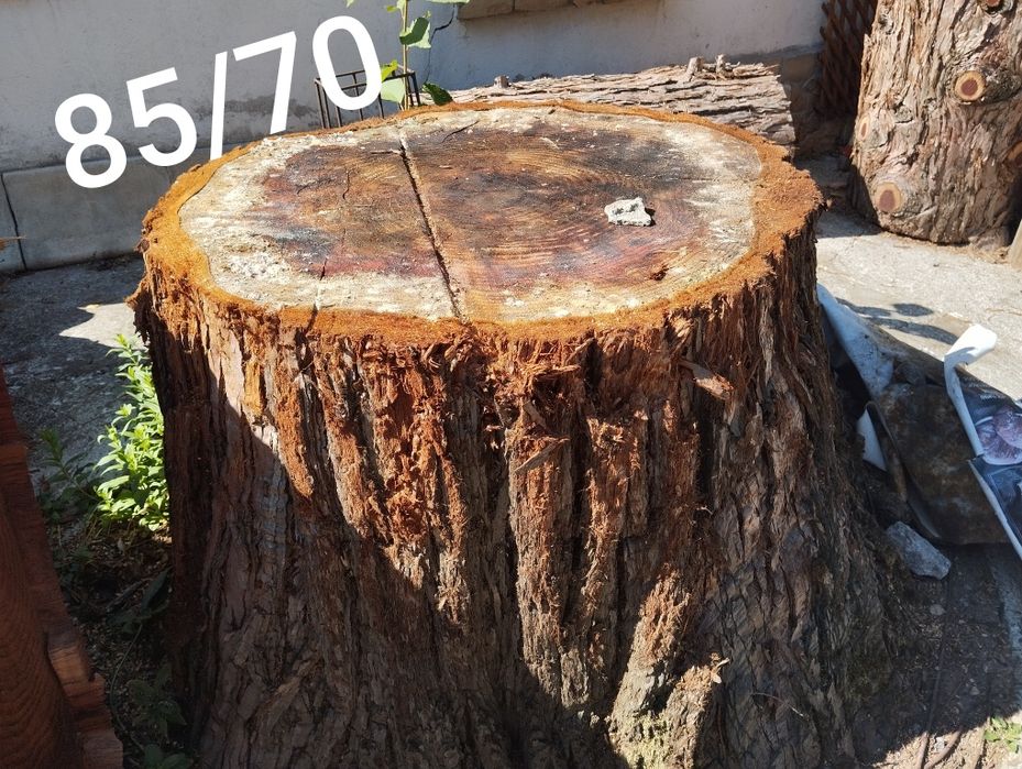 Дървен материал.Секвоя