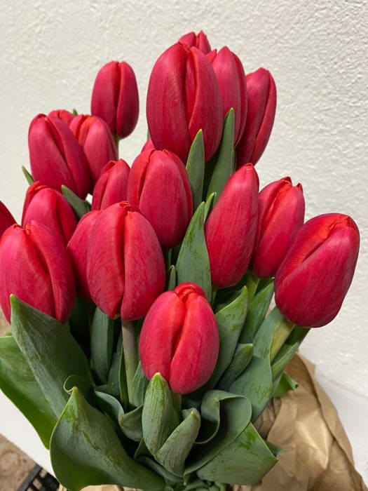 Тюльпаны с оформлением