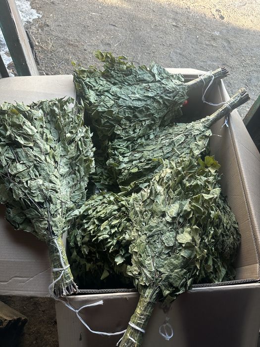 Берёзовые веники для бани