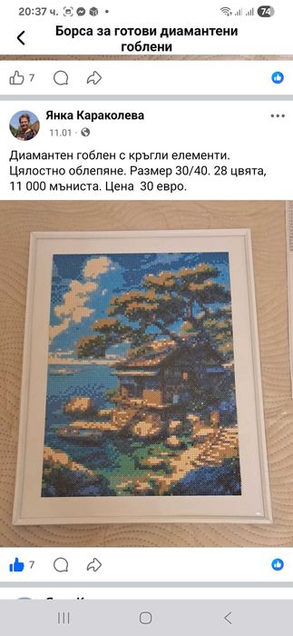 Диамантени гоблени - пълно облепяне. Размер 30/40. Рамкирани.