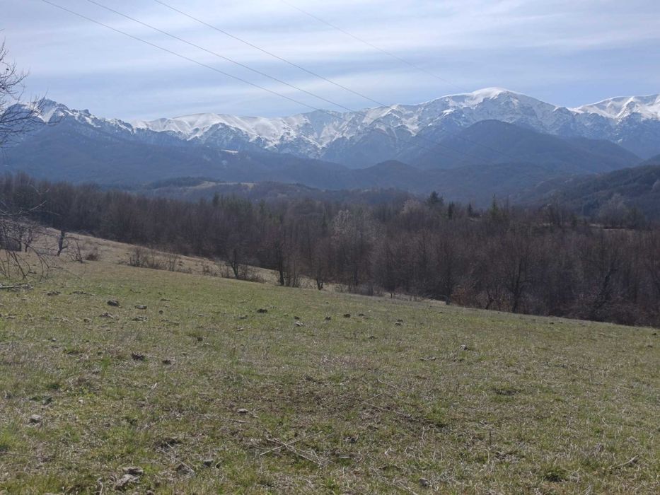 Продавам 2декара парцел в Априлци