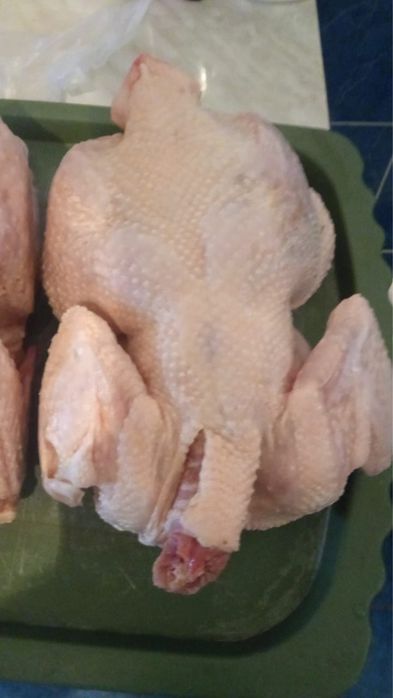 Продажа домашней птицы