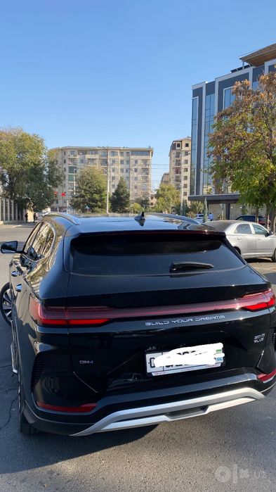Byd chempion 2024 official