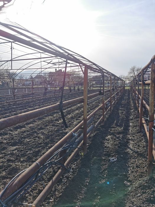 Оранжерии с парно 900кв.м.