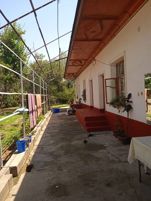 Уй куктереда жойлашган