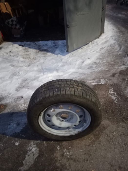 Продаються балон с диком