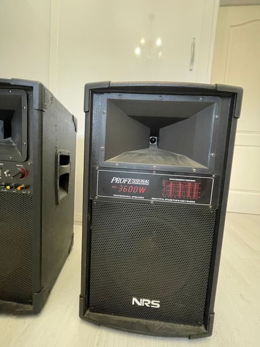 Boxe profesionale 3600w