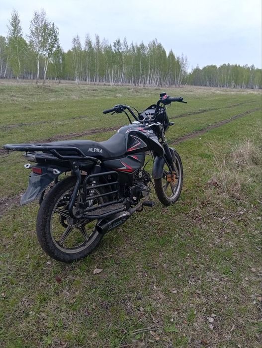 Альфа чамп 125 куб
