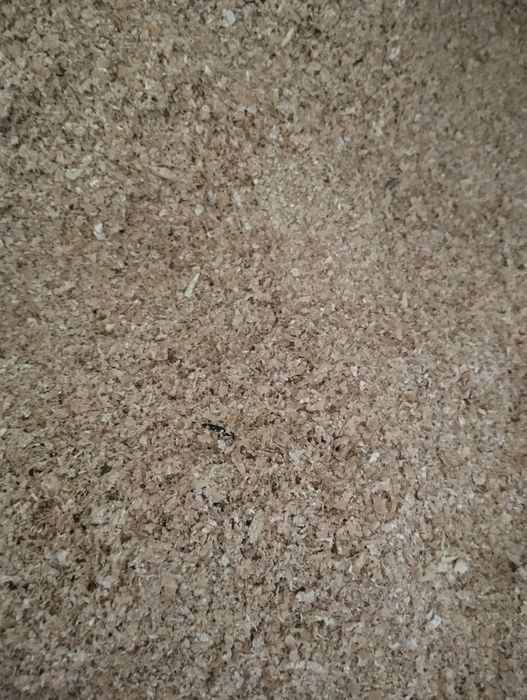 Кепка майин заводдан биринчи кул тоза аралашмаси йук