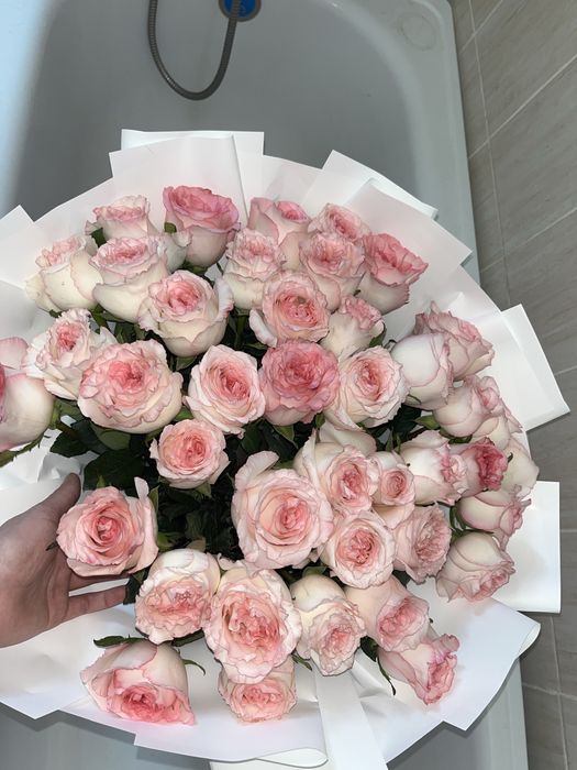 Роза букет свежая