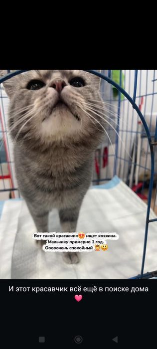 Мальчики 1-1,5 года