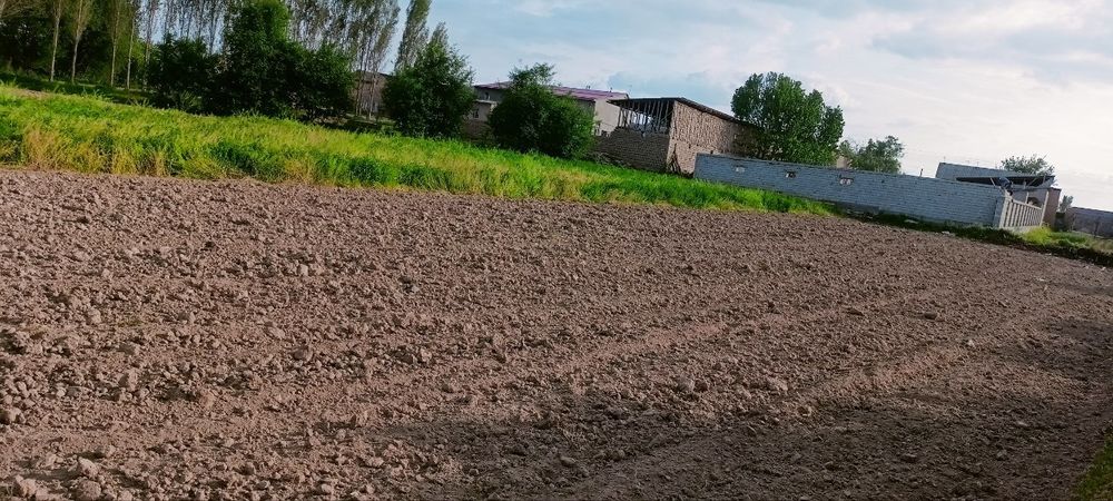 Тош вил Янгийўл тум. Халкобод победа кишлогиҚуруқ ер 8 сотих 12800$