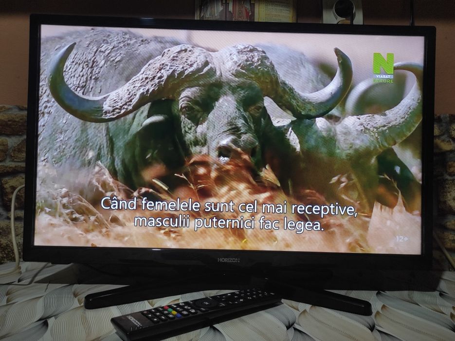 Smart Tv Horizon 70 cm