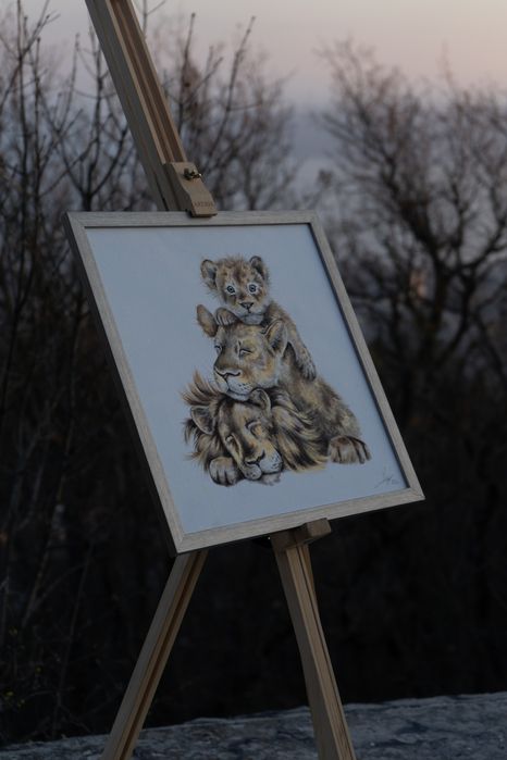 Картини по поръчка