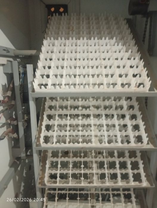 Inkubator holati yaxshi