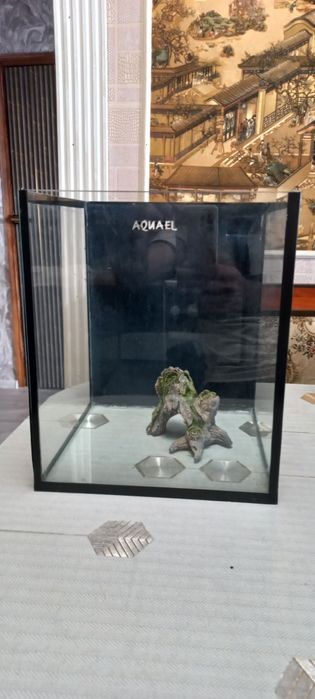 Продам аквариумы