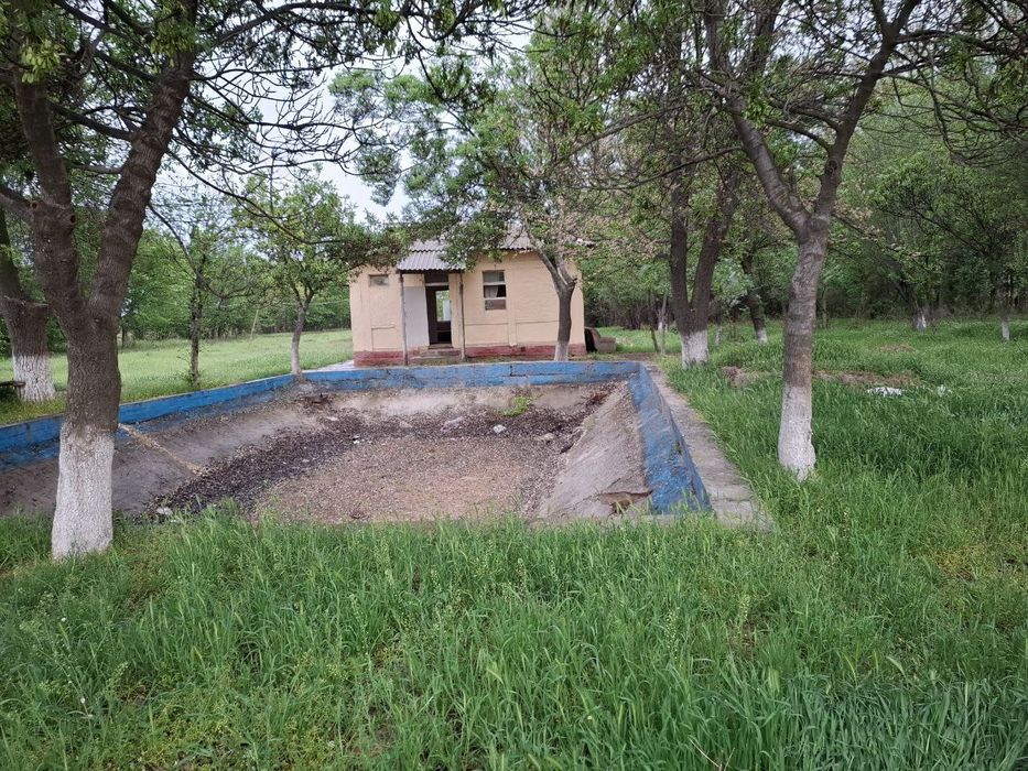 Oqoltin tumanida sotuvdagi yer