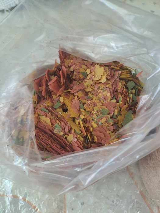 Растения и корм для рыб