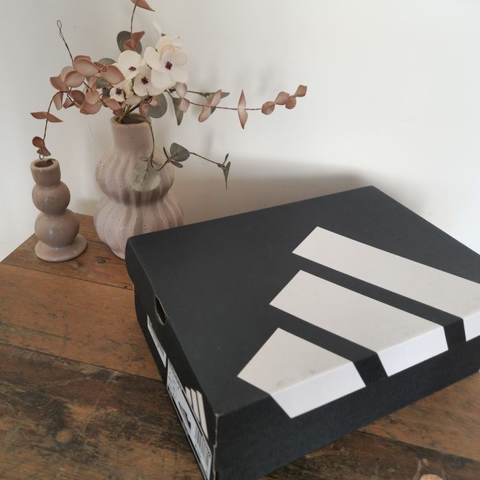 Маратонки  Adidas Duramo RC2M  42/2/3, 43