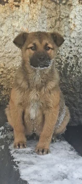 Ищут дом мальчики и девочки