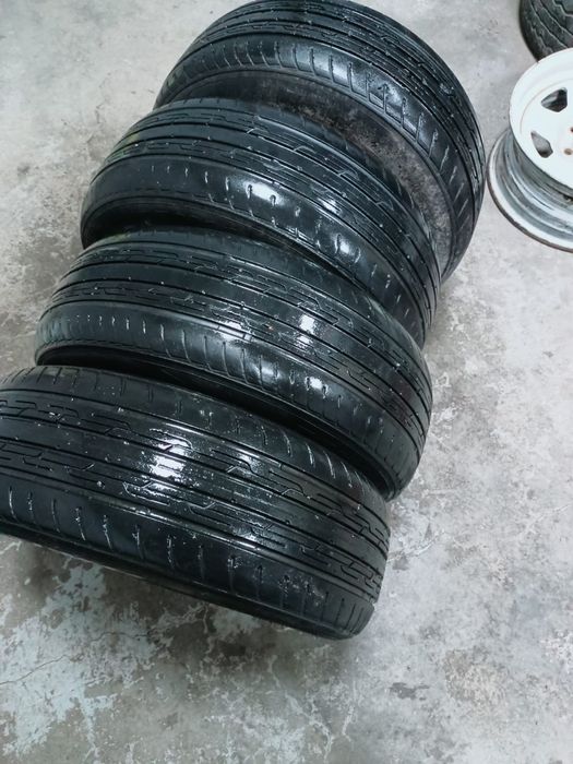 Продам ризину лето