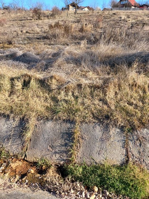 De vânzare 1000mp Mioveni