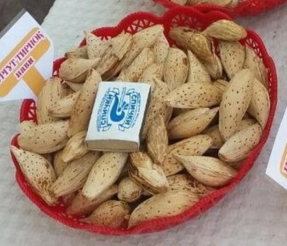 Бодом кўчатларисотувда