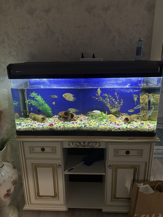 Продам аквариум 200 литров