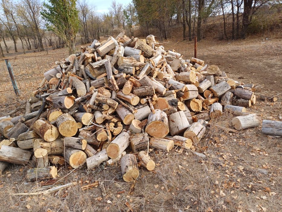 Продам Драва сухие