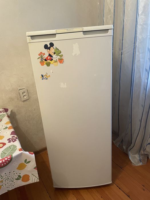Отдам бесплатно