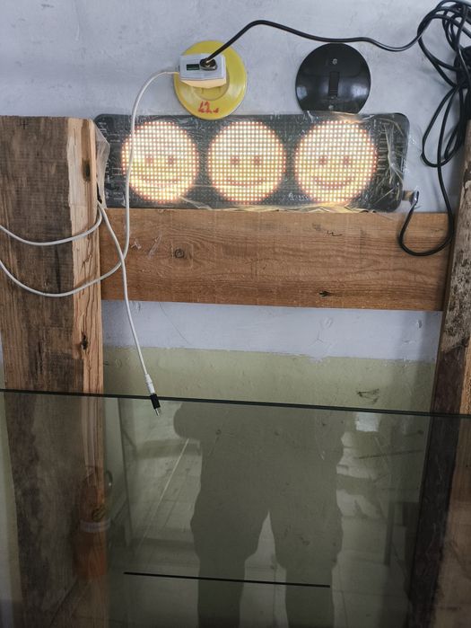 Глазки на заднее стекло