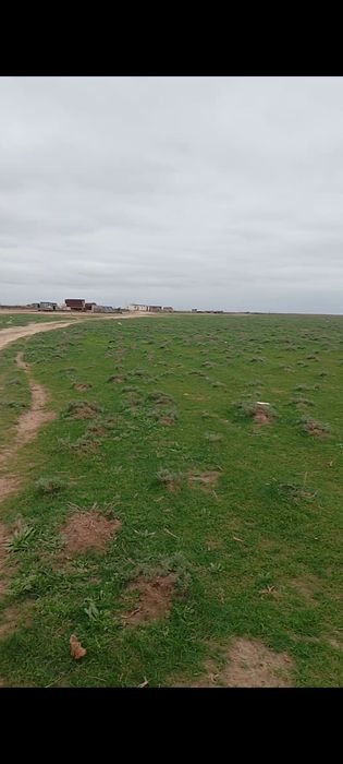 қора сатылады 280млн