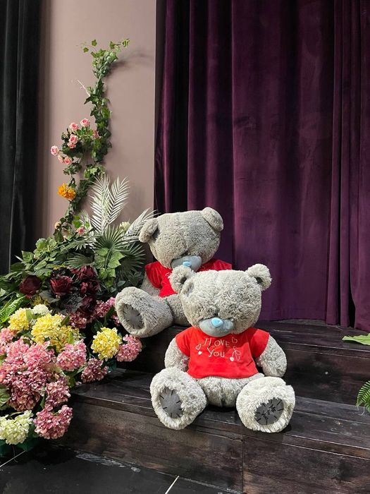 Ayiq sotiladi arginal