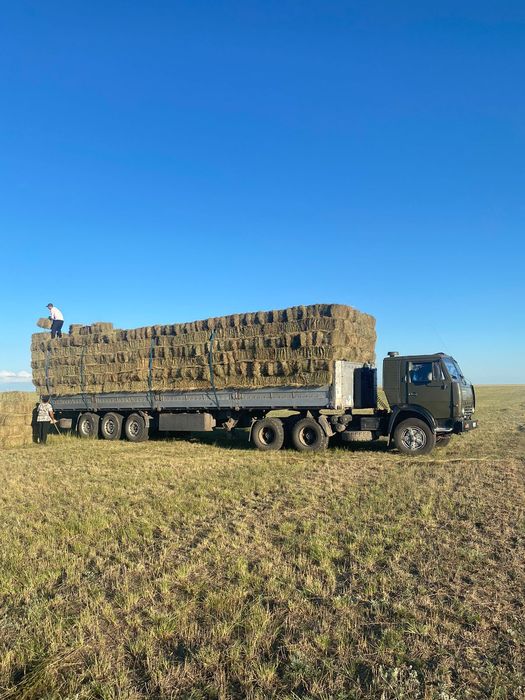 Продам сено житняк