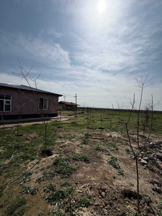 Dacha Akmal Ikromov sotiladi Piskent tumani, Toshkent viloyati