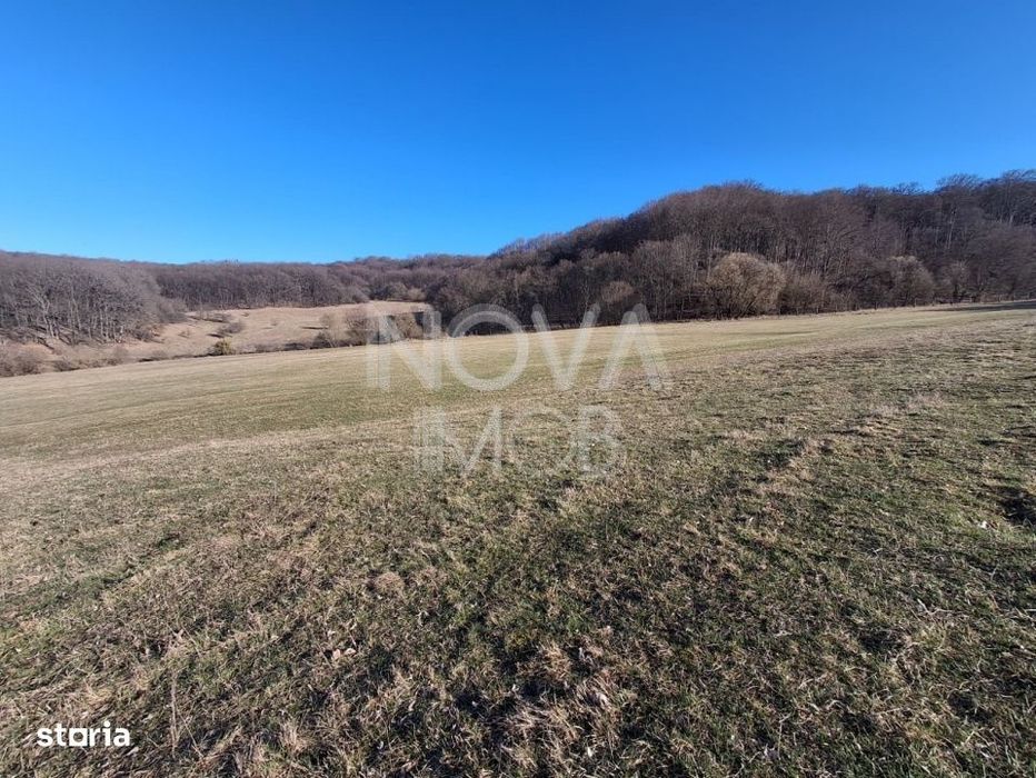 Ferma complet echipata de vanzare – zona Agnita, judetul Sibiu