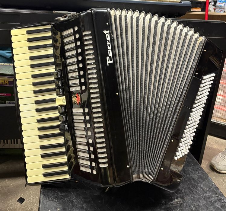 Acordeon Parrot cu 120 de basi