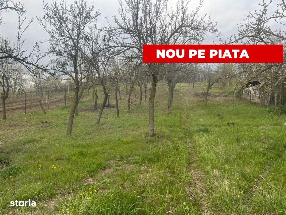 Teren intravilan 2.200 mp cu constructie existenta –Calinesti- Vrane
