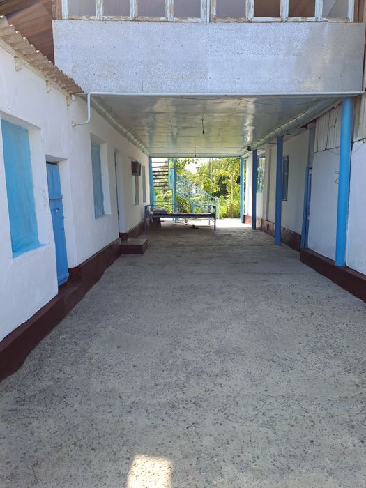 Turar Joy Kotta Xovli