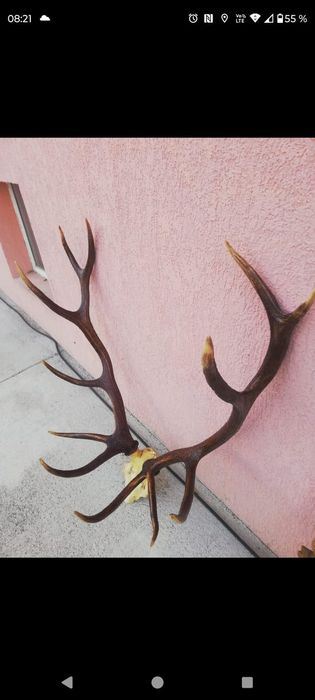 Ceaun cupru bătut 80 l dintr-o bucata