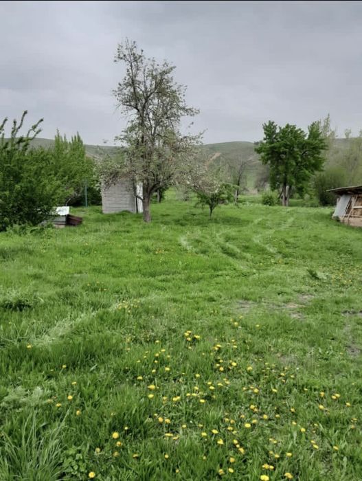 Жер сатылады.  10 соттык