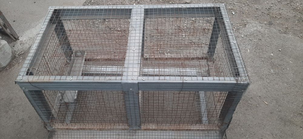 Брудера для перепёл, цыплят