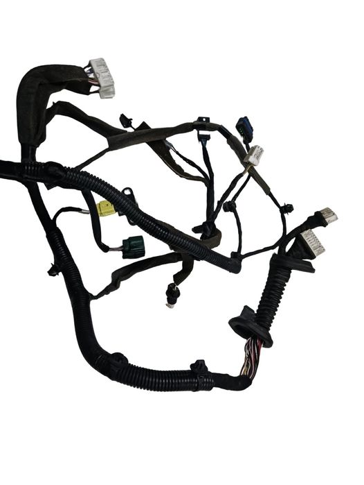 Instalatie Electrica Usa Stanga Fata Renault Koleos Ii 2016 - >